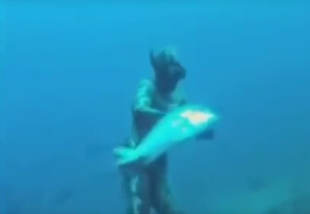 Kakva drama pod vodom! (VIDEO)