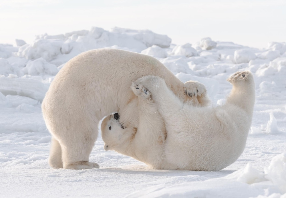 Na Aljasci -59 stepeni!