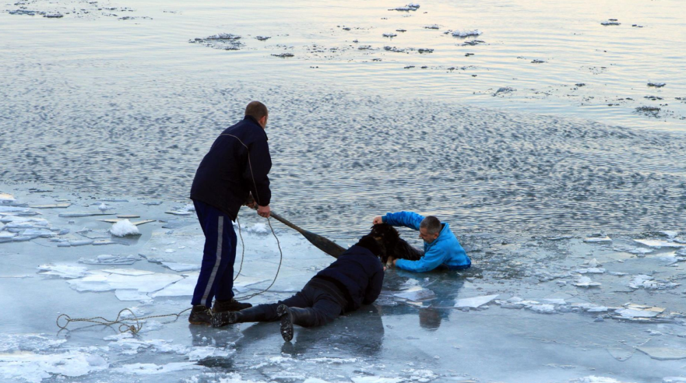 Zemunac ušao u ledeni Dunav da spasi psa! (FOTO)