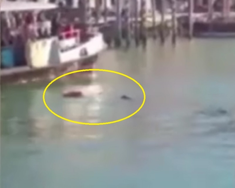 Prolaznici snimali dok se migrant davio! (UZNEMIRUJUĆI VIDEO)