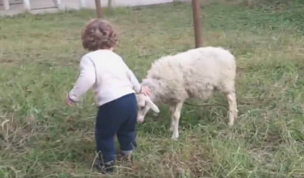 Ovo dete imaće predivnu uspomenu iz detinjstva (VIDEO)