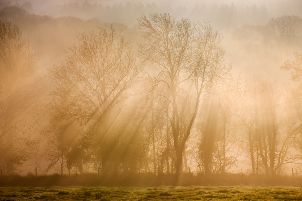 Ako se u snu magla diže, očekuje vas veliko razočarenje! Saznajte o čemu je reč!