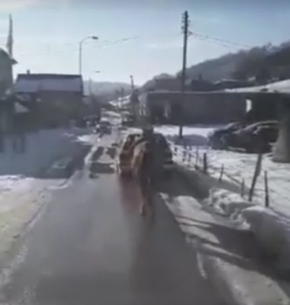 Gde će ti duša, zlotvore?! (UZNEMIRUJUĆI VIDEO)