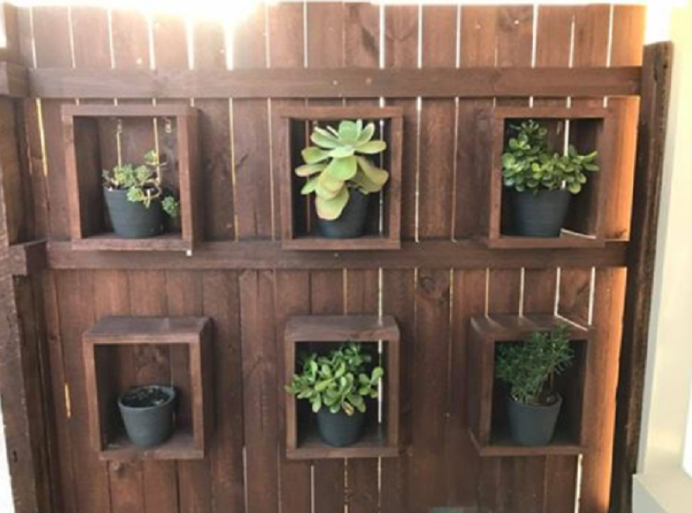 U kojoj je saksiji zmija od dva metra? (FOTO)