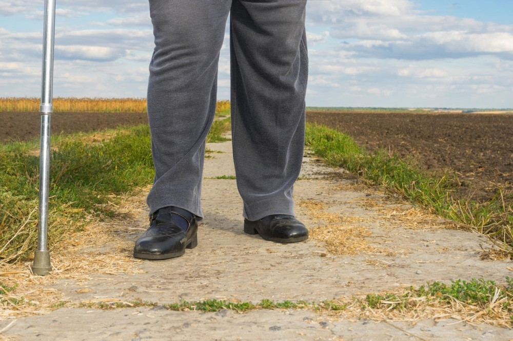 Odoše političari u dramaturge, bibliotekare i preduzetnike!
