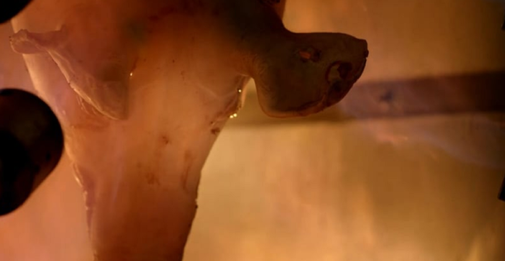 Evo od čega se prave gumene bombone! (VIDEO)