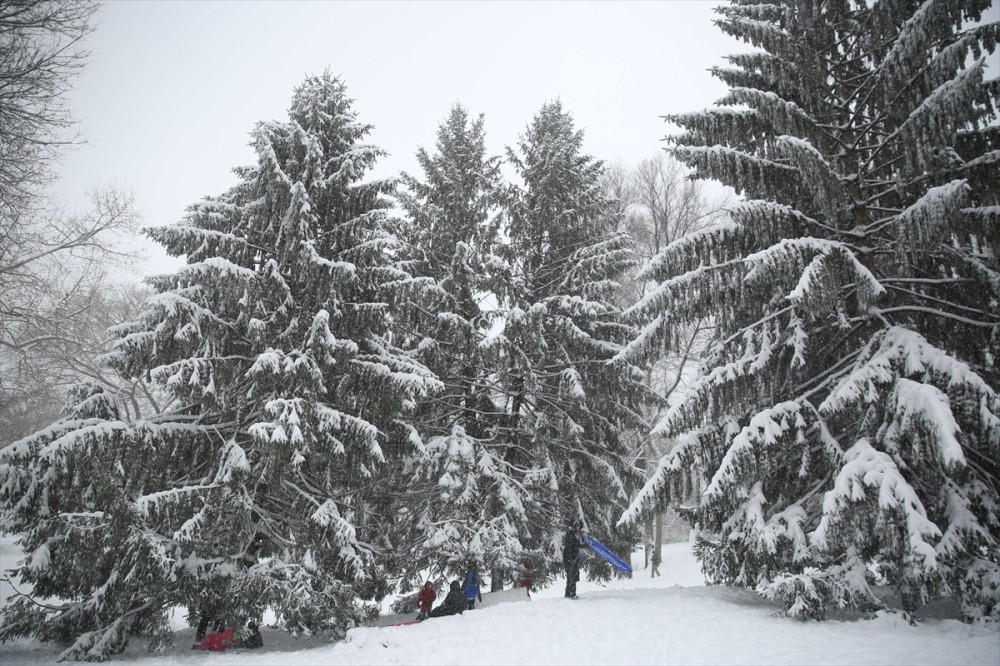 Snežna oluja paralisala SAD! (VIDEO)