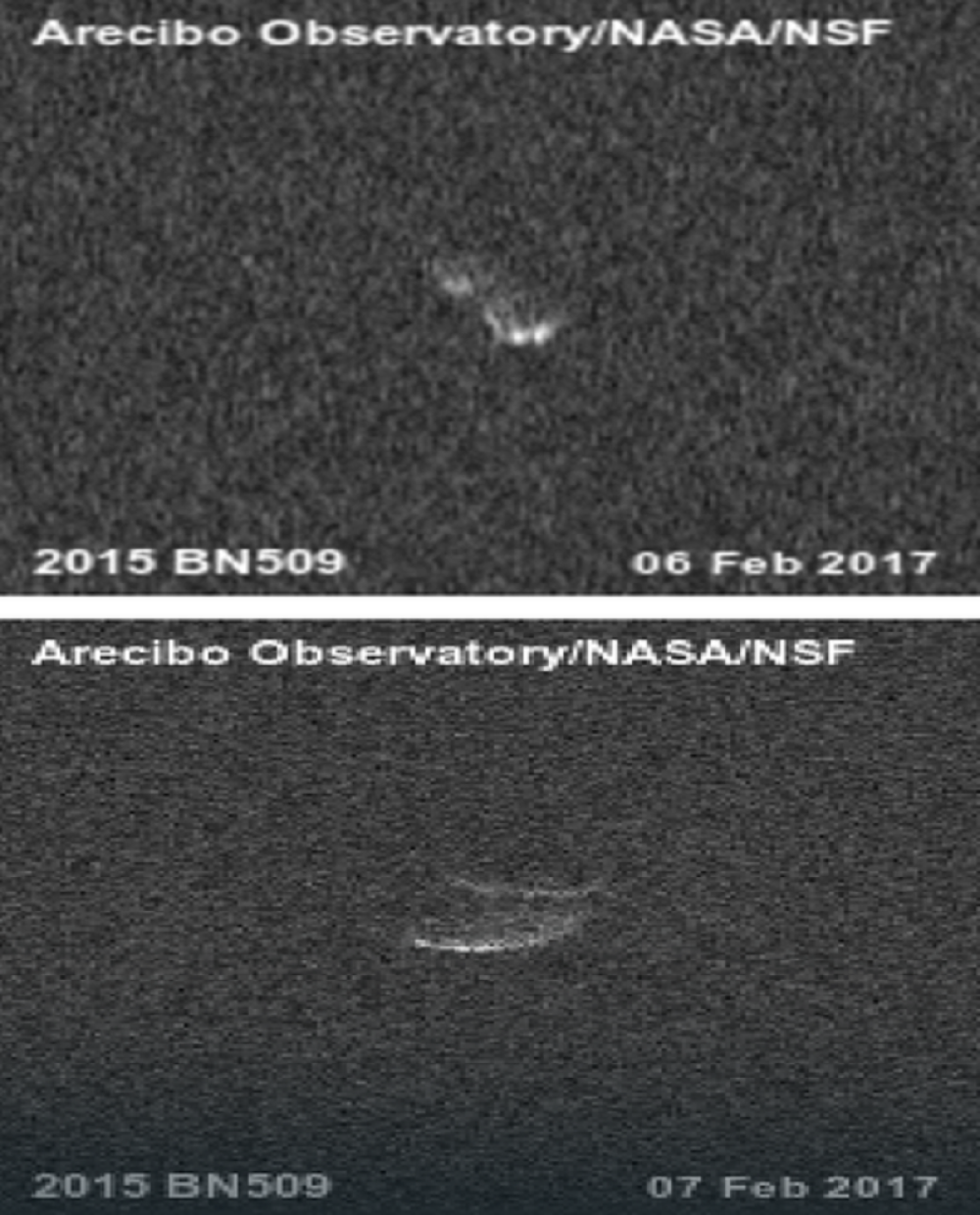 Kikiriki će nam svima doći glave?!