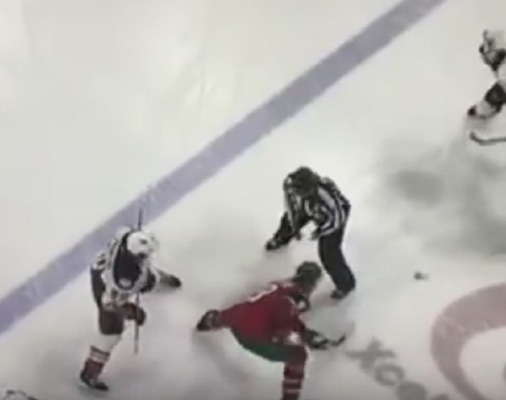 Hokejaš zveknuo sudiju palicom (VIDEO)
