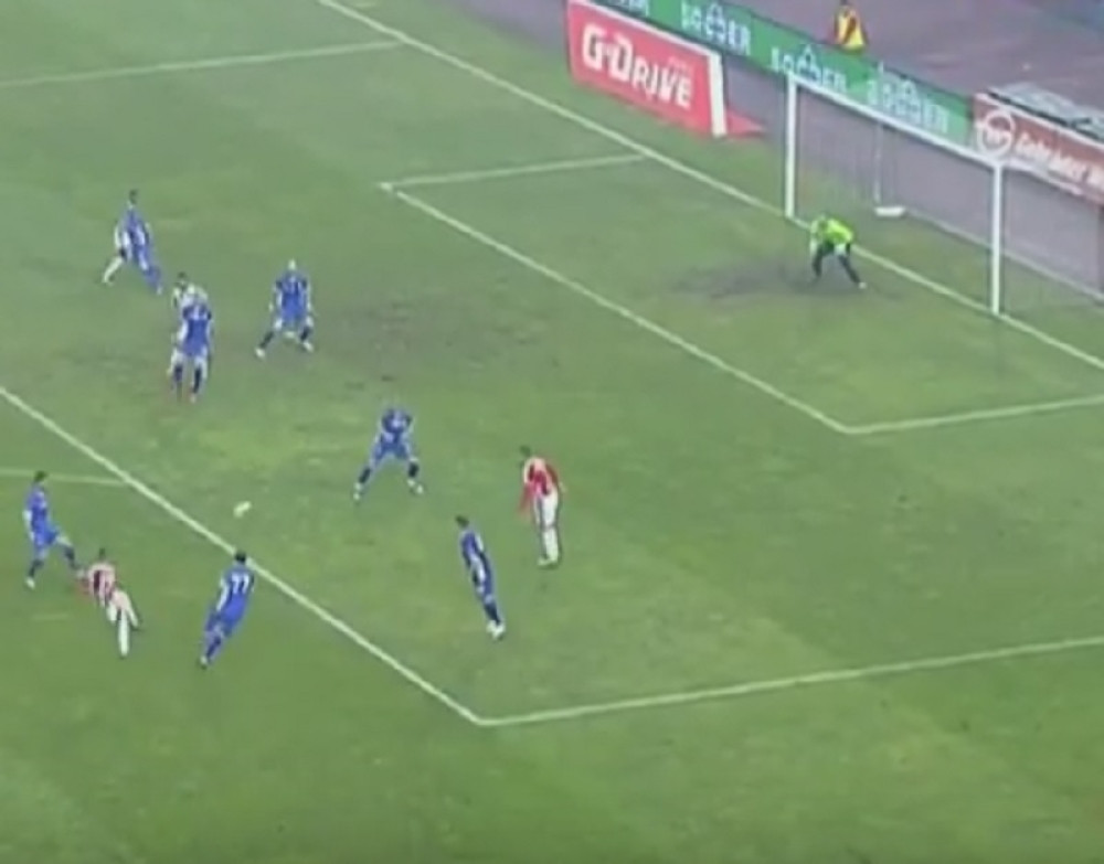 Zvezdin prolećni prvenac - golčina! (VIDEO)