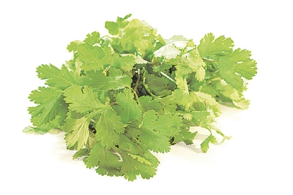 Ova biljka je spas za ljude sa visokim krvnim pritiskom