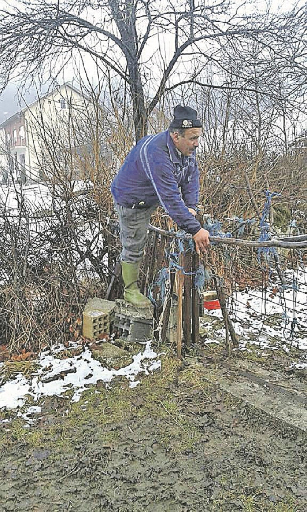 Zmaj od Šipova upao kod komšije