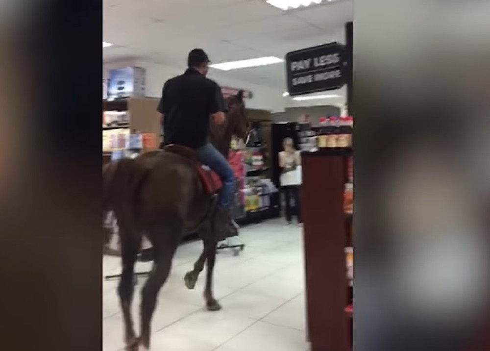 Konj krenuo u nabavku (VIDEO)