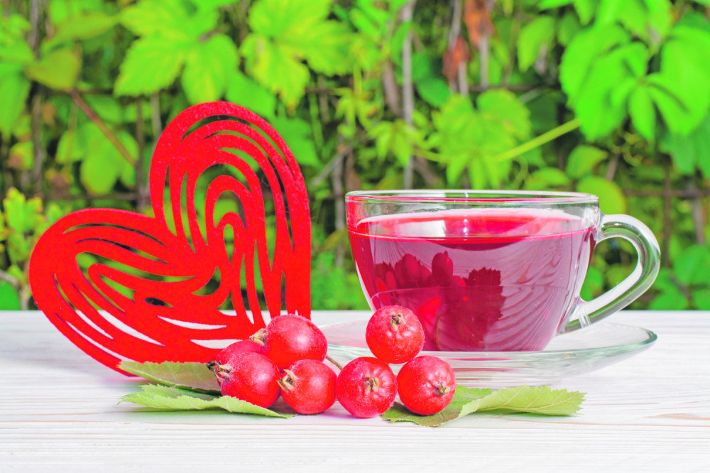 Ovo je najlekovitija biljka na svetu!