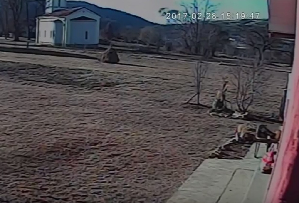 Snimljen trenutak eksplozije kod Kragujevca (VIDEO)