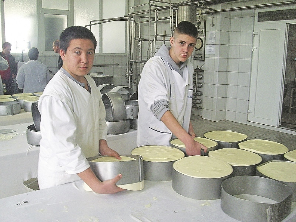 Škola zaštitila sir!