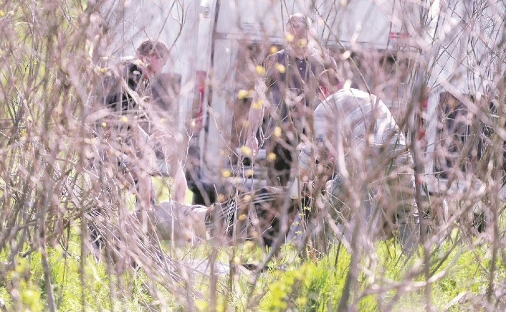Tajni svedoci ruše odbranu Marjanovića