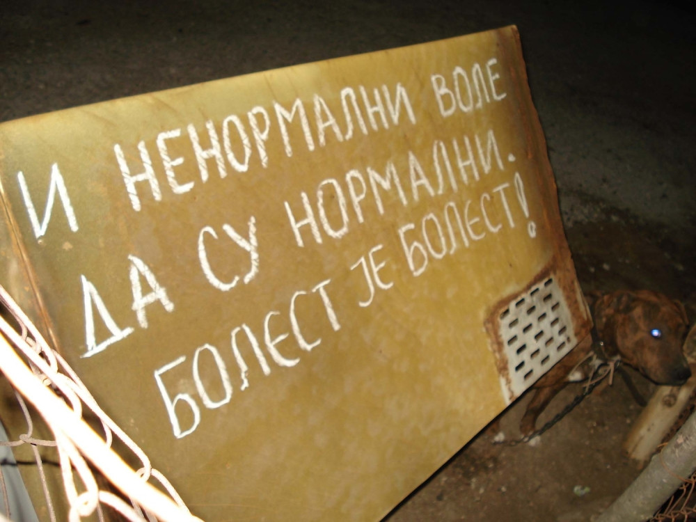 Bratanac ubio strica kamenom zbog dimnjaka!