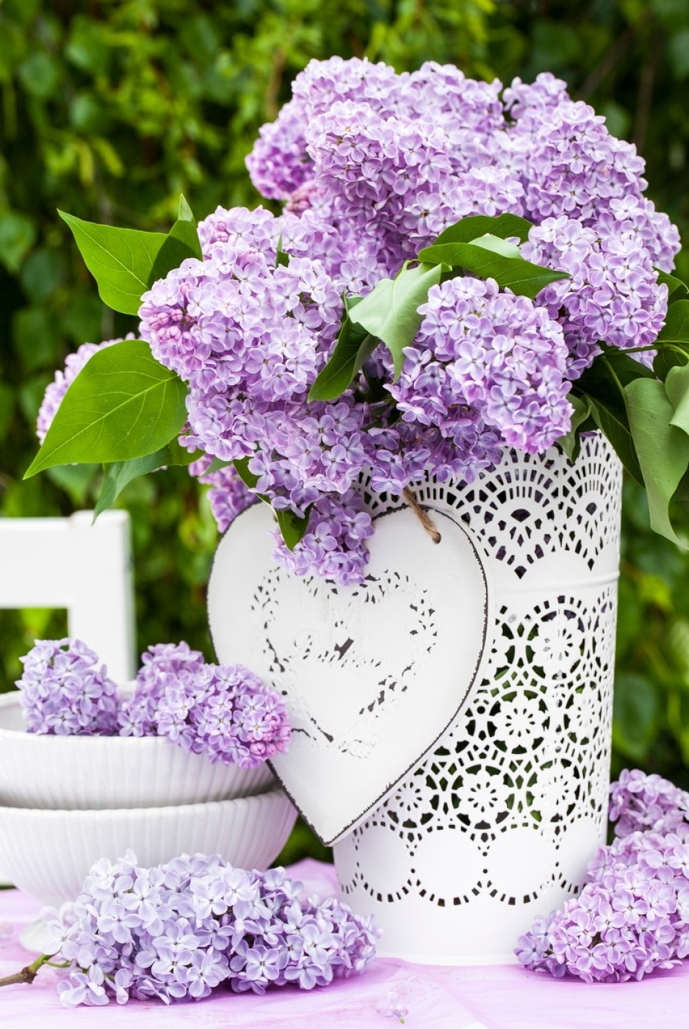 Šta sve leči jorgovan?