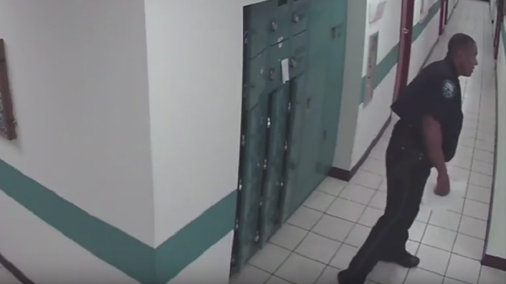 Policajac panično pobegao od miša! (VIDEO)