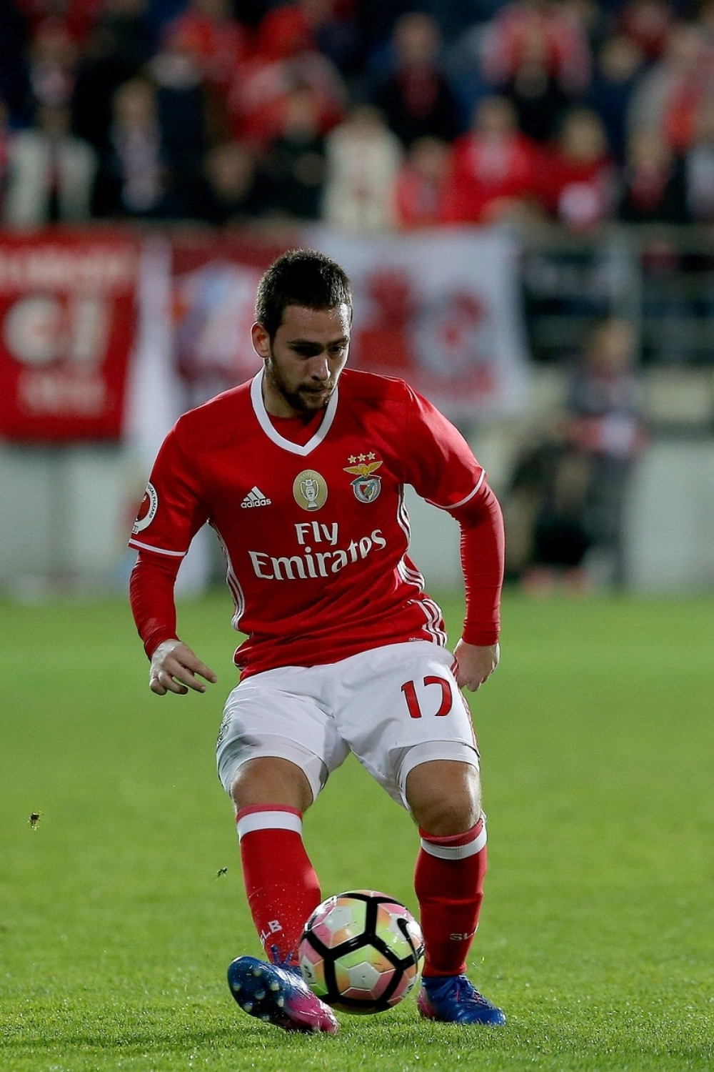 Venger hoće Živkovića!