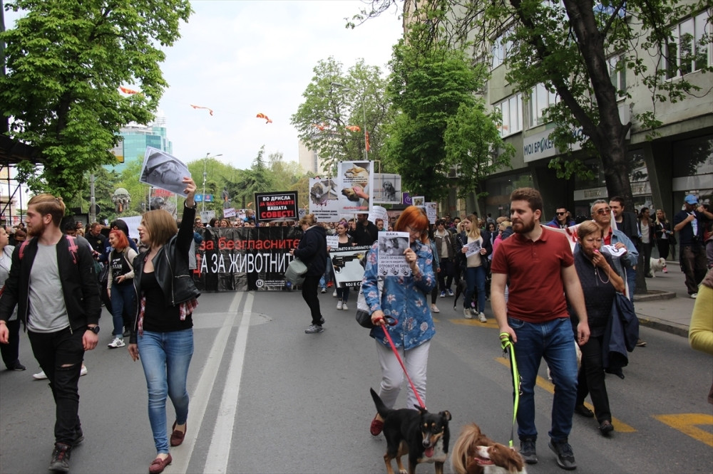 Protest zbog masovnog trovanja pasa (FOTO)
