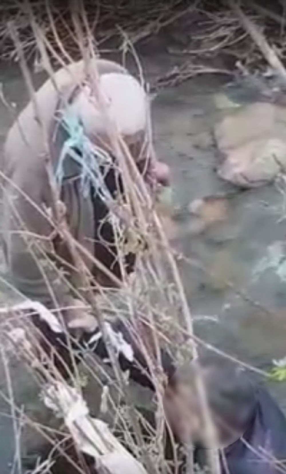 Spasili smrti ribokradicu koji je pijan upao u reku