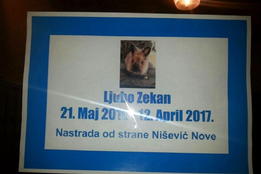 Objavili umrlicu za zecom!