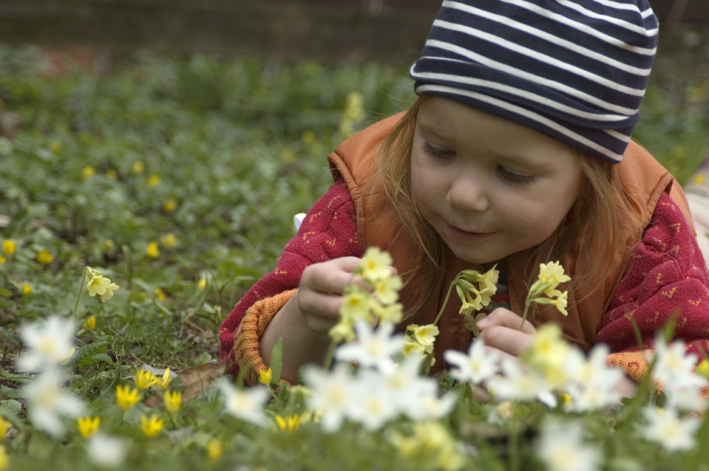 Evo kakvo nas vreme očekuje za 1. maj!