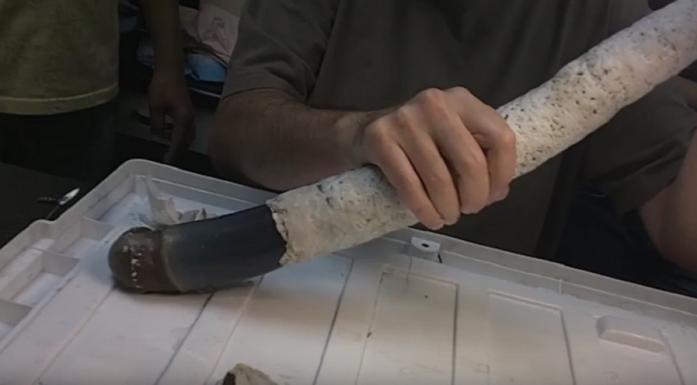 Pronađen najveći sluzavi crv na svetu!