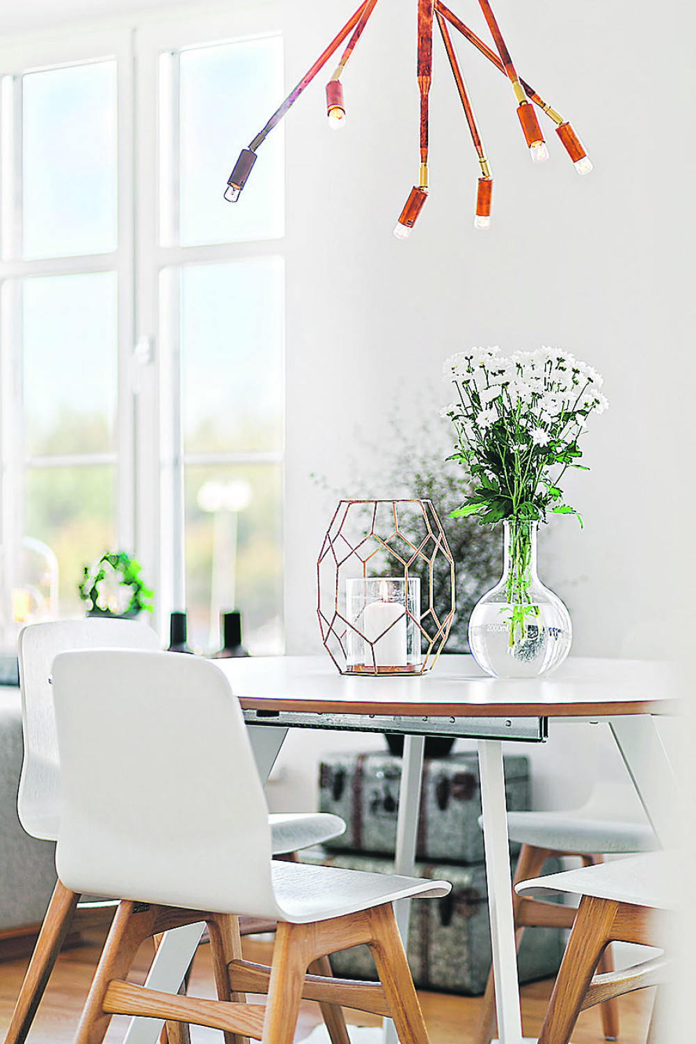 Stavite ovo u trpezariju i privući ćete novac u kuću!