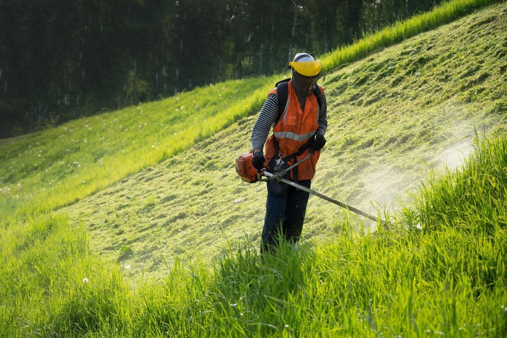 Mile i Marko pronašli novčanik sa 1.800 evra dok su kosili travu, POTRAŽILI VLASNIKA NA FEJSBUKU I UPUTILI MU REČI...