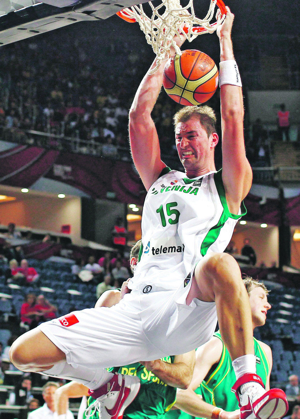 Životinje su nas pržile bakljama