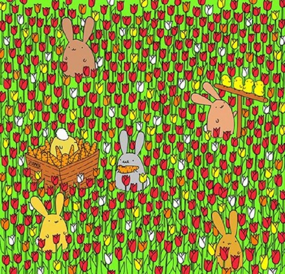 Ova mozgalica izludela je i najupornije!