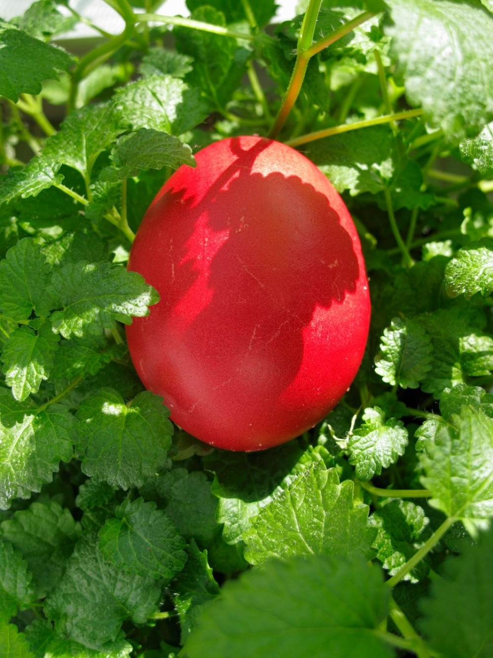 Kontroverzni Balkanac čestitao Uskrs pokazavši polni organ (FOTO)
