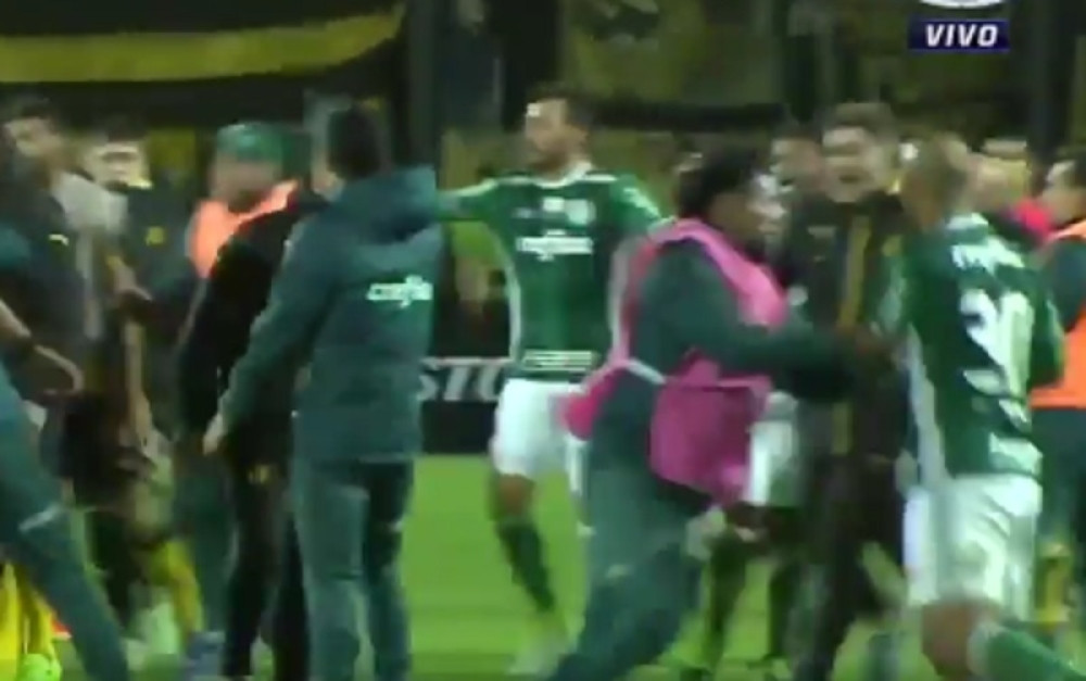 Žestoka tuča na meču Kopa Libertadores (VIDEO)