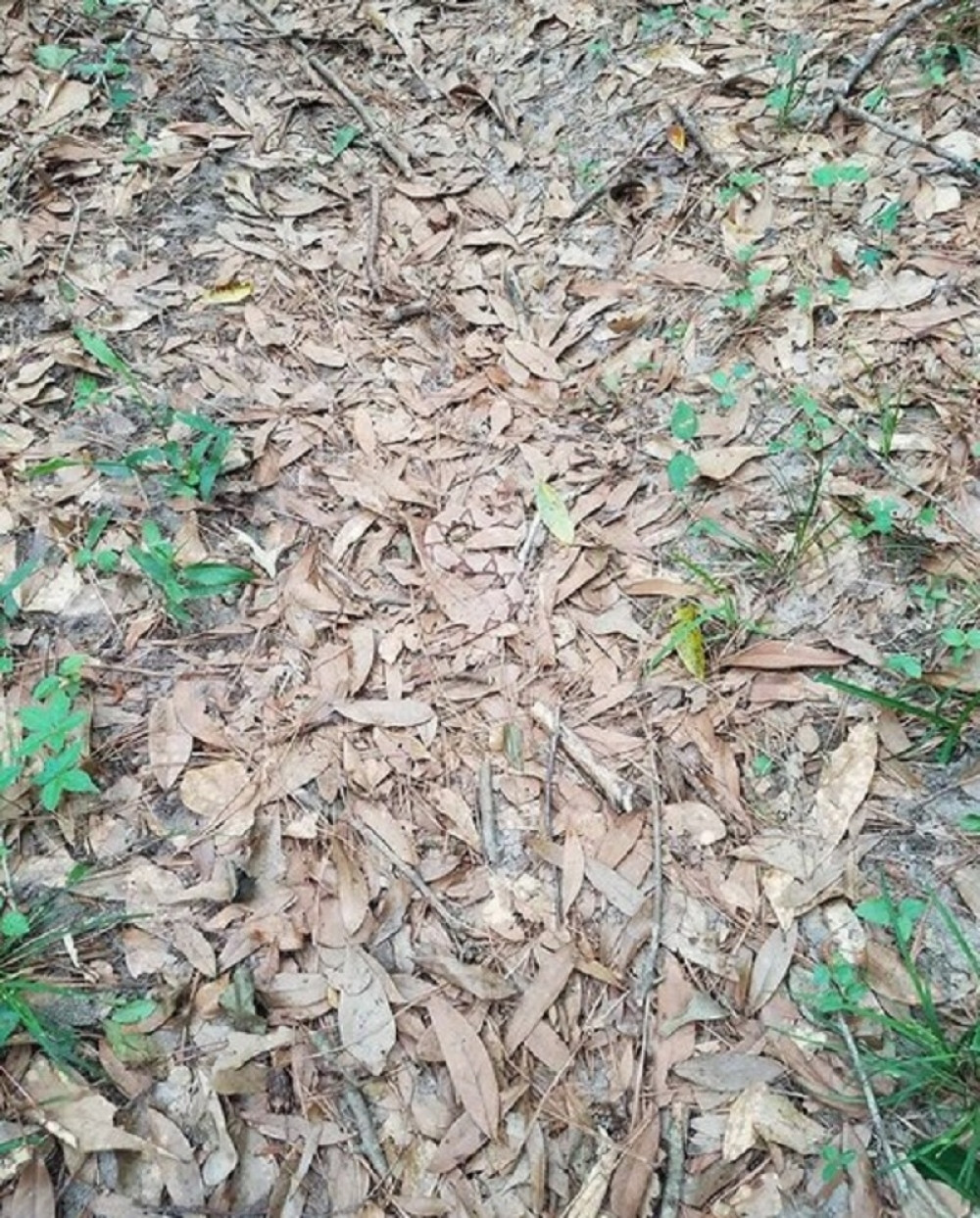 Trećina vas neće uspeti čak iako vam pokažemo gde je!