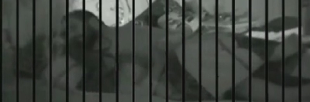 Napaljeni Zerina i Nikola rasturili krevet!