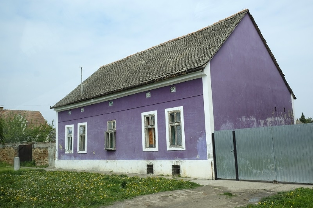 Moj suprug je žrtva magije!