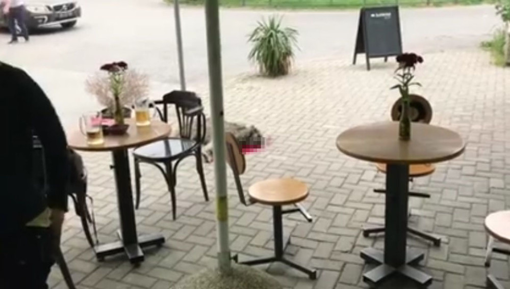 Sekirom ubio psa koji je spavao ispred kafića (UZNEMIRUJUĆI VIDEO)