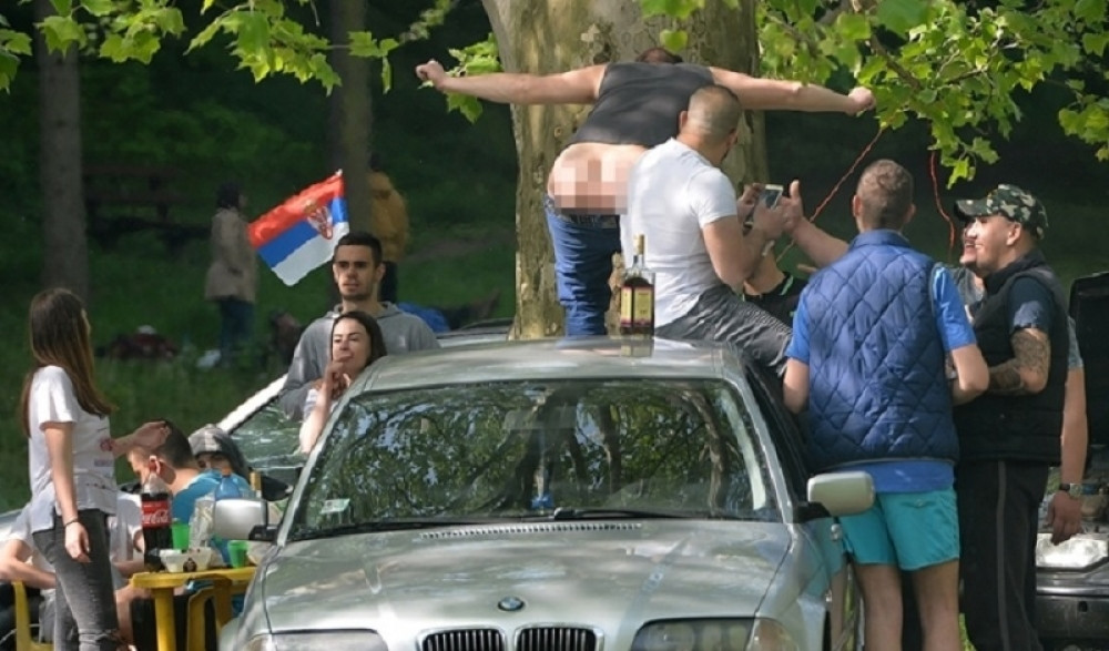 Gole guze sevaju na Košutnjaku! (VIDEO)