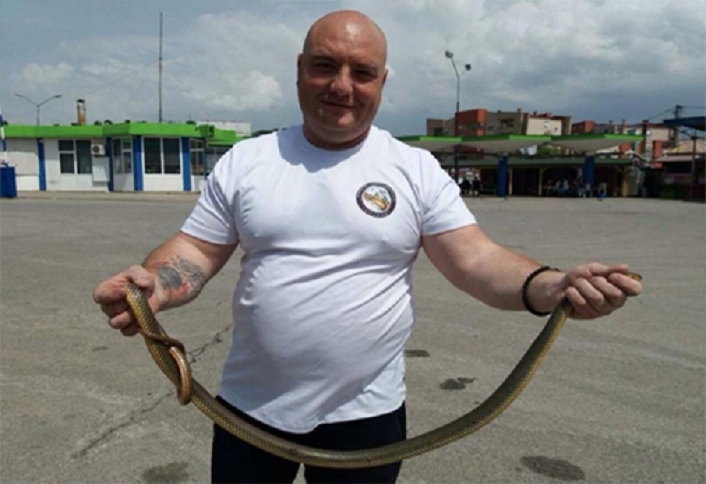 Ogromna zmija u autobusu "Niš ekspresa"!