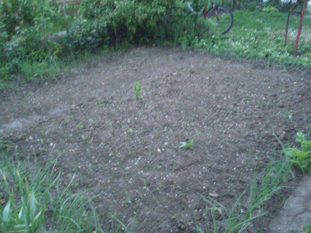 Nevreme u Gornjem Milanovcu napravilo milionsku štetu!