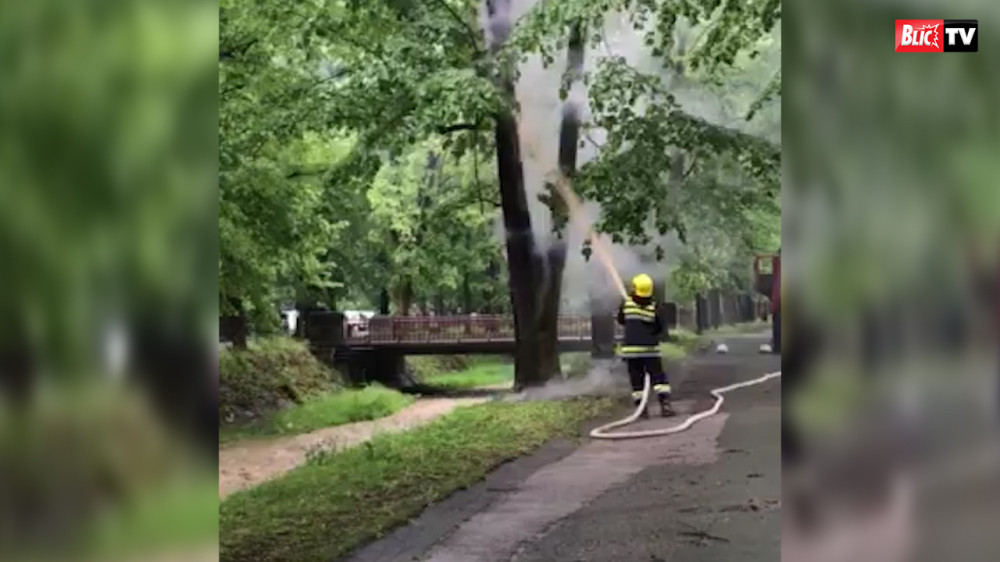 Vatrogasci gasili požar u Vrnjačkoj banji