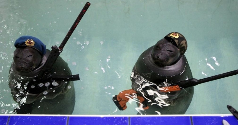 Rusi imaju neverovatno oružje! (VIDEO)