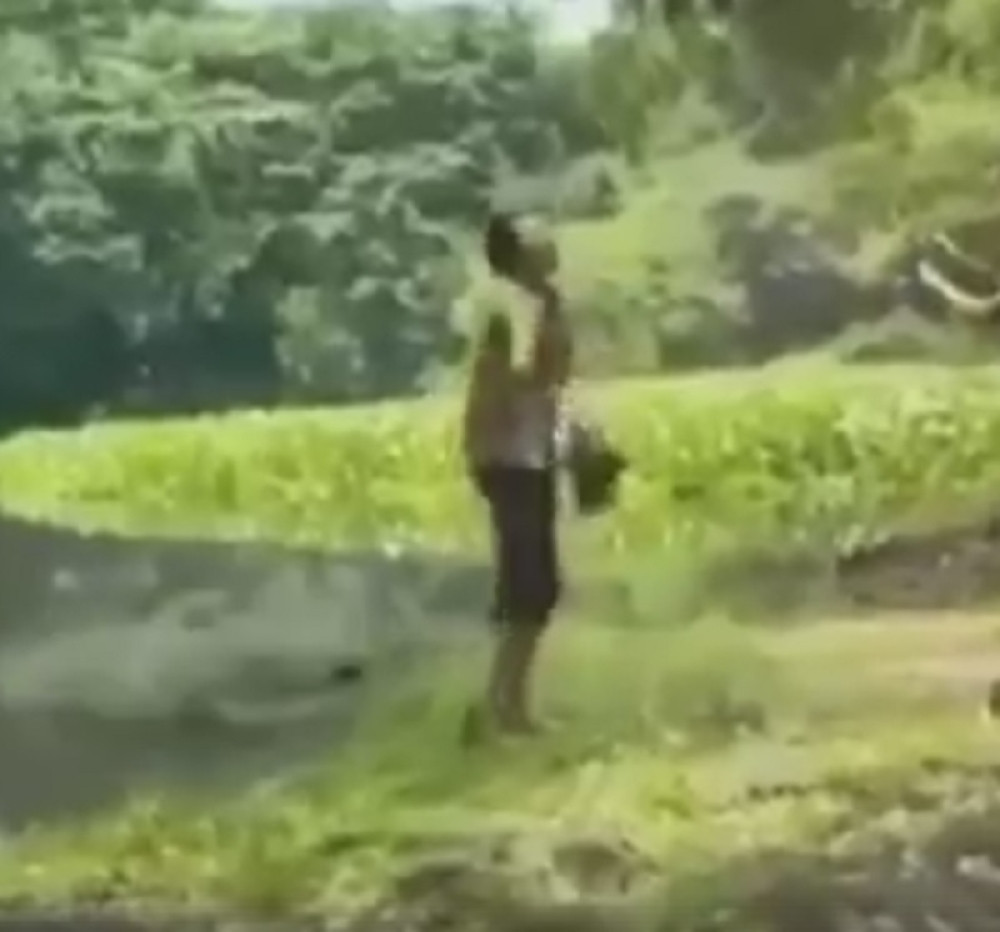 UZNEMIRUJUĆE~Pozirala pored bare, a onda ju je ščepao krokodil (VIDEO 18+)