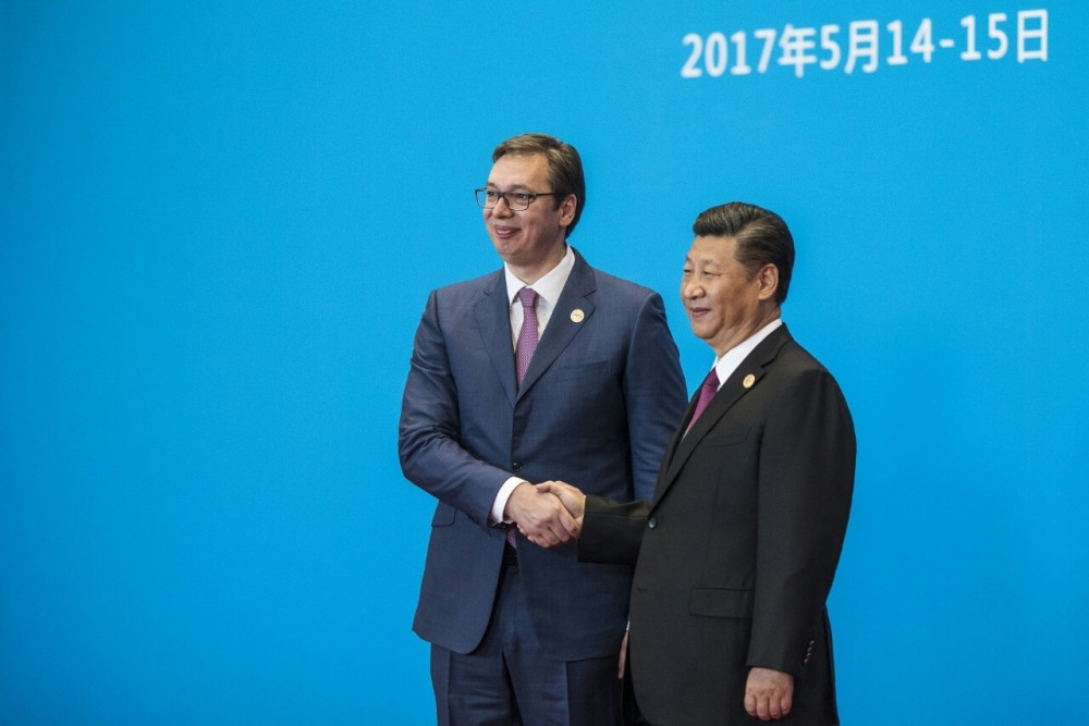 Jata ptica mogu da pobede oluju