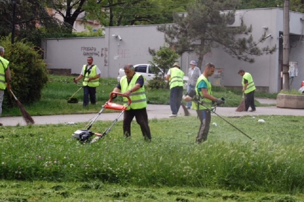 Palilula pokrenula akciju uređenja zelenih površina
