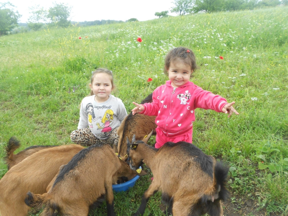 Sedam jarića usrećilo decu