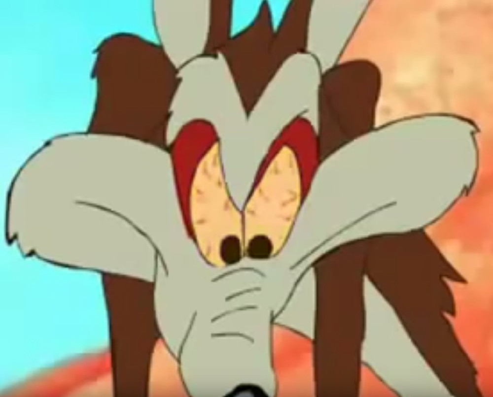 Kako je kojot uhvatio pticu trkačicu (VIDEO)